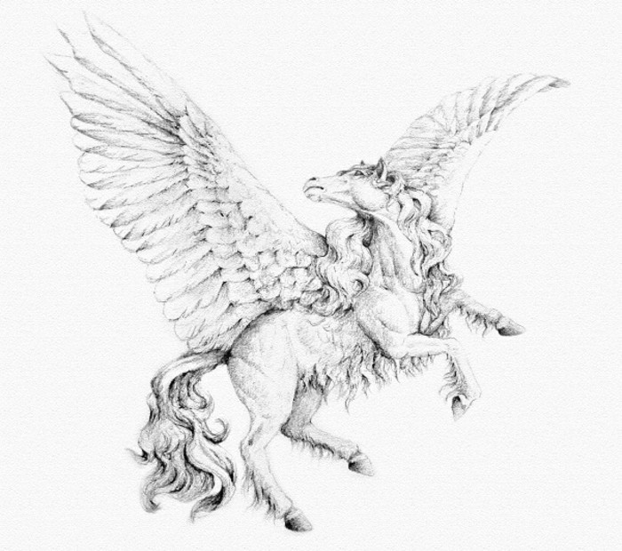 pegasus flying, black and white, how to draw hair, pencil sketch