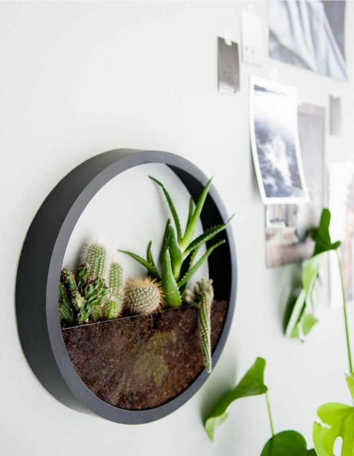 grey framed, succulent pot, girls wall decor, hanging on a white wall, cactuses and aloe vera