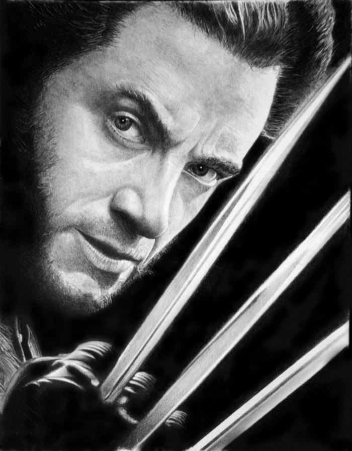wolverine portrait, black and white, pencil sketch, step by step drawing, black backgorund