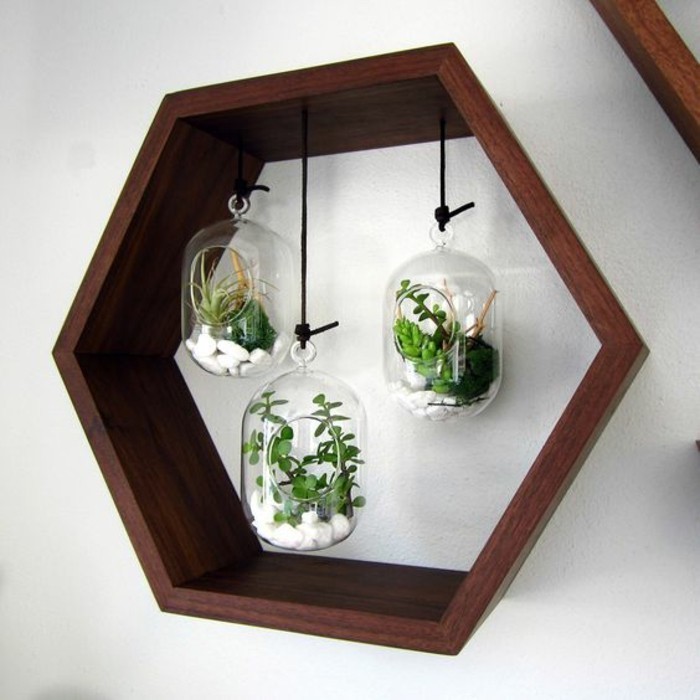 honeycomb shaped, wooden frame, three hanging glass jars, full of succulents, wall design ideas