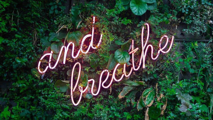 and breath neon sign, amongst greenery, girly wallpapers