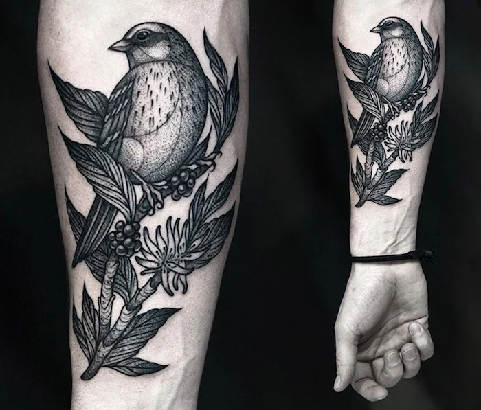 bird on a tree branch, black background, side by side photos, forearm tattoos for men