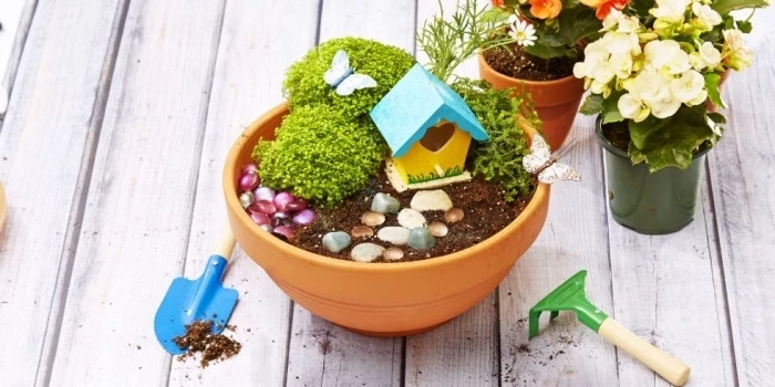 ceramic pots, flowers inside, rocks and a tree house, school themes, small gardening tools