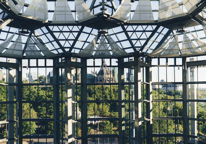 city landscape, tumblr iphone backgrounds, large windows, tall trees