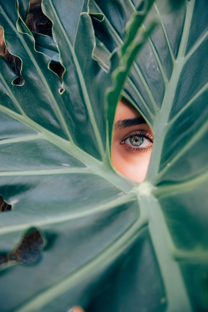 large green leaf, green eye, tumblr wallpaper