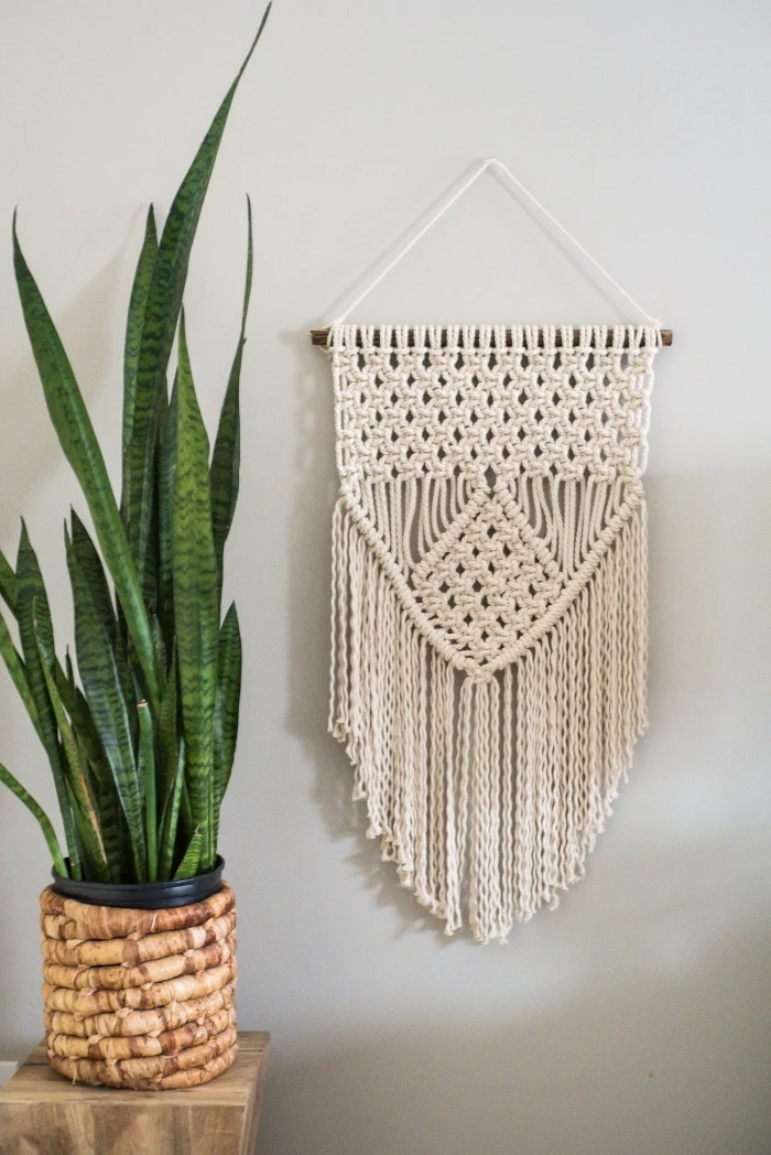 potted plant, wooden table, white wall, macrame hanging