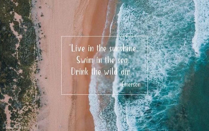 live in the sunshine, swim in the sea, drink the wild air, emerson quote, pastel pink background, beach front