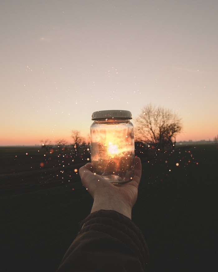 hand holding a jar, background tumblr, sun setting, black trees
