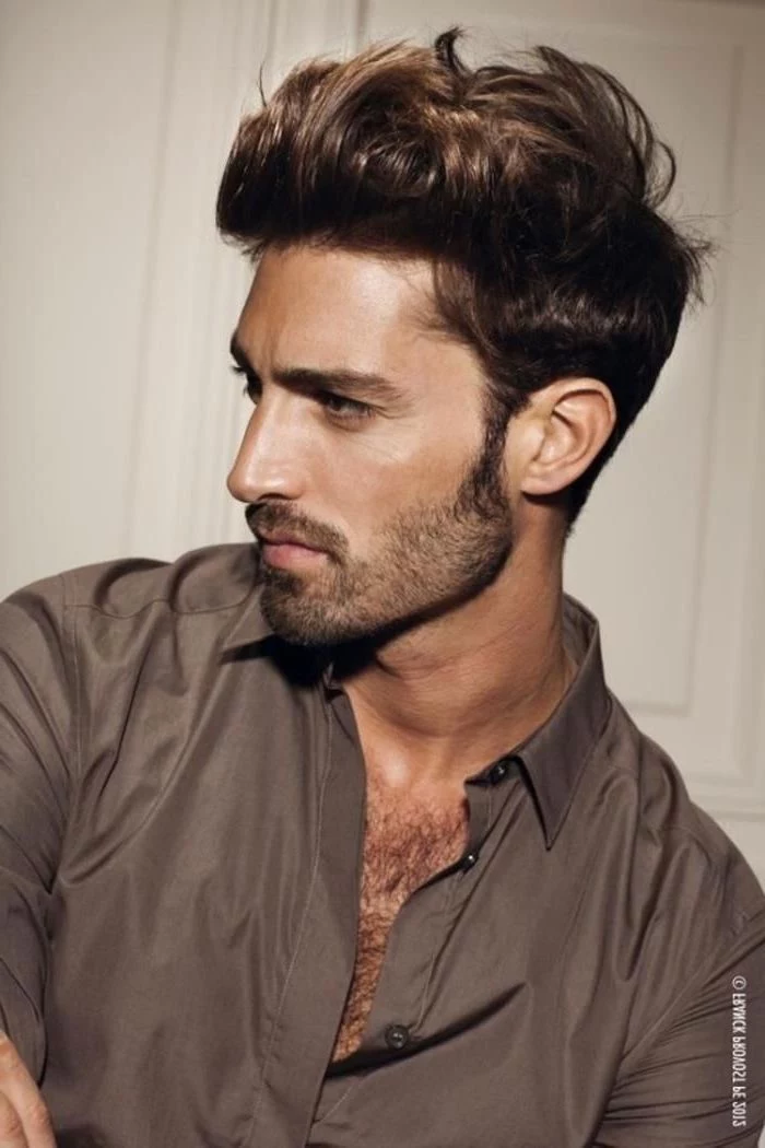 brown messy hair, medium haircuts for men, grey short, white background