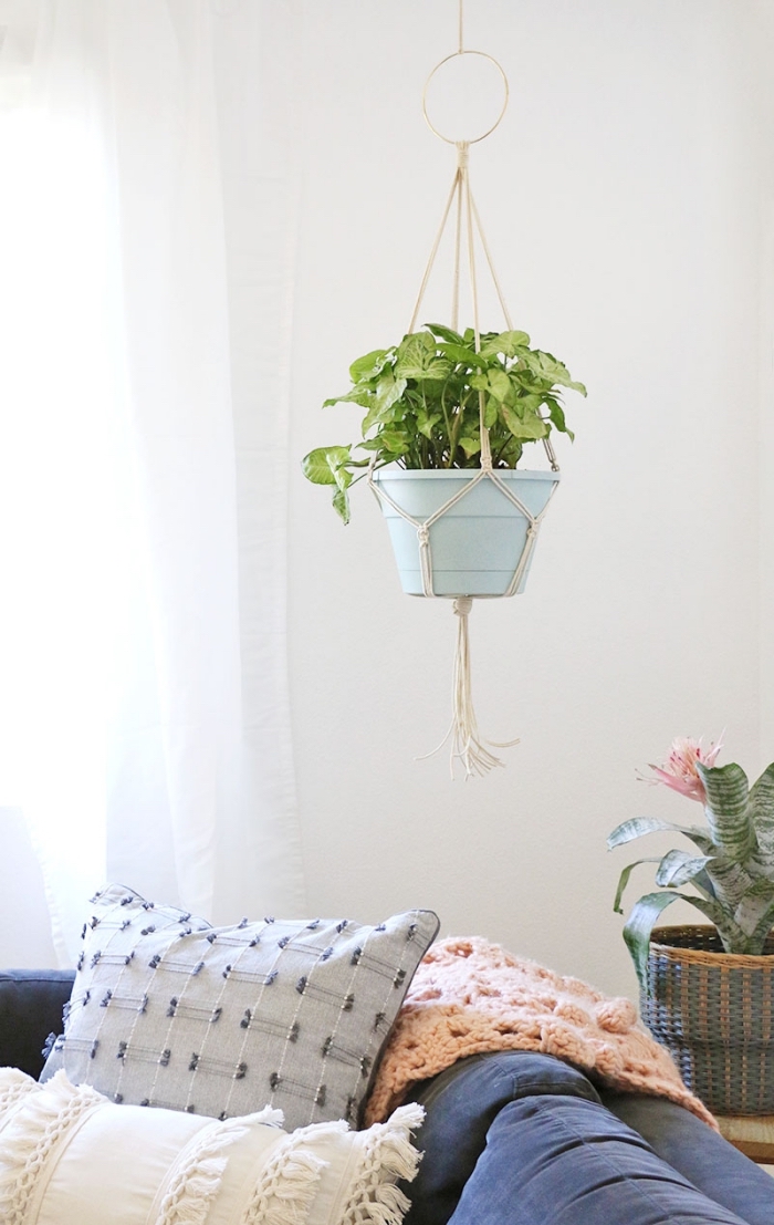 ceramic pot, how to make macrame, potted plant, blue velvet sofa, potted plants, plant hanger