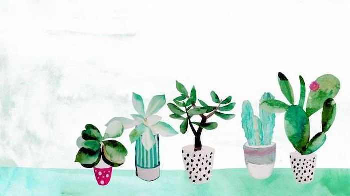 girl wallpapers for iphone, potted cactuses and plants, on a white background