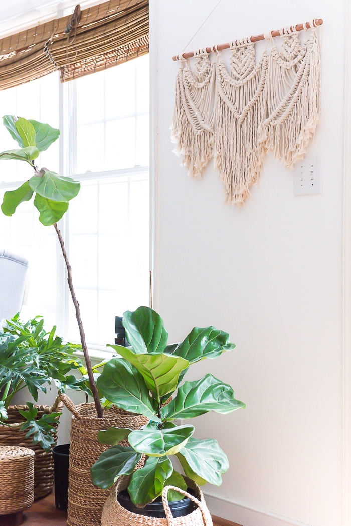 large windows, white wall, macrame for beginners, potted plants