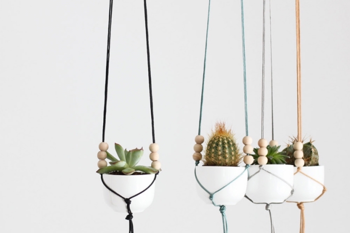 potted succulents and cactuses, macrame for beginners, black and blue, plant hanger, white wall