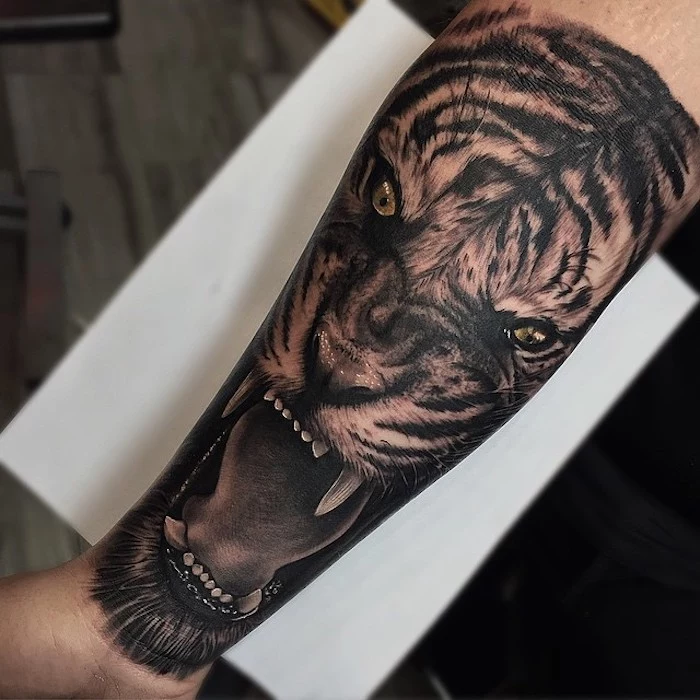 roaring lion, forearm tattoos, white paper, wooden floor