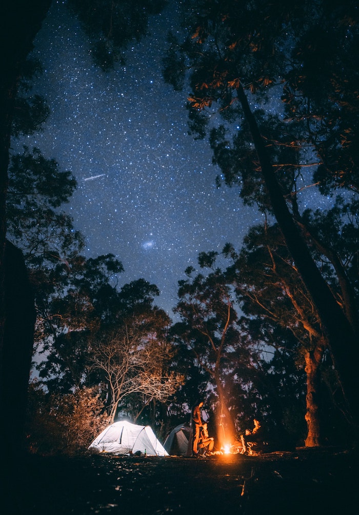 starry sky, camping in the woods, tall trees, flower background tumblr, set up tent