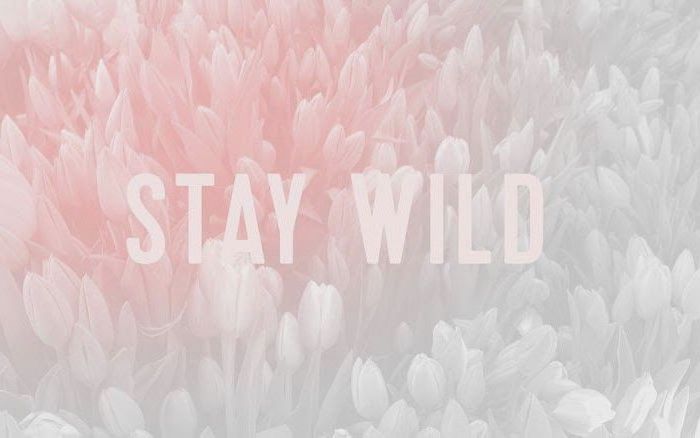stay-wild-tulips-background-pink-background-tumblr stay wild, tulips in the background, girl wallpapers for iphone