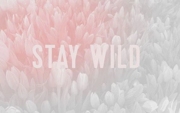 stay wild, tulips in the background, girl wallpapers for iphone