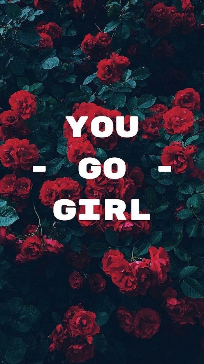 red roses bush, pink background tumblr, you go girl, motivational quote