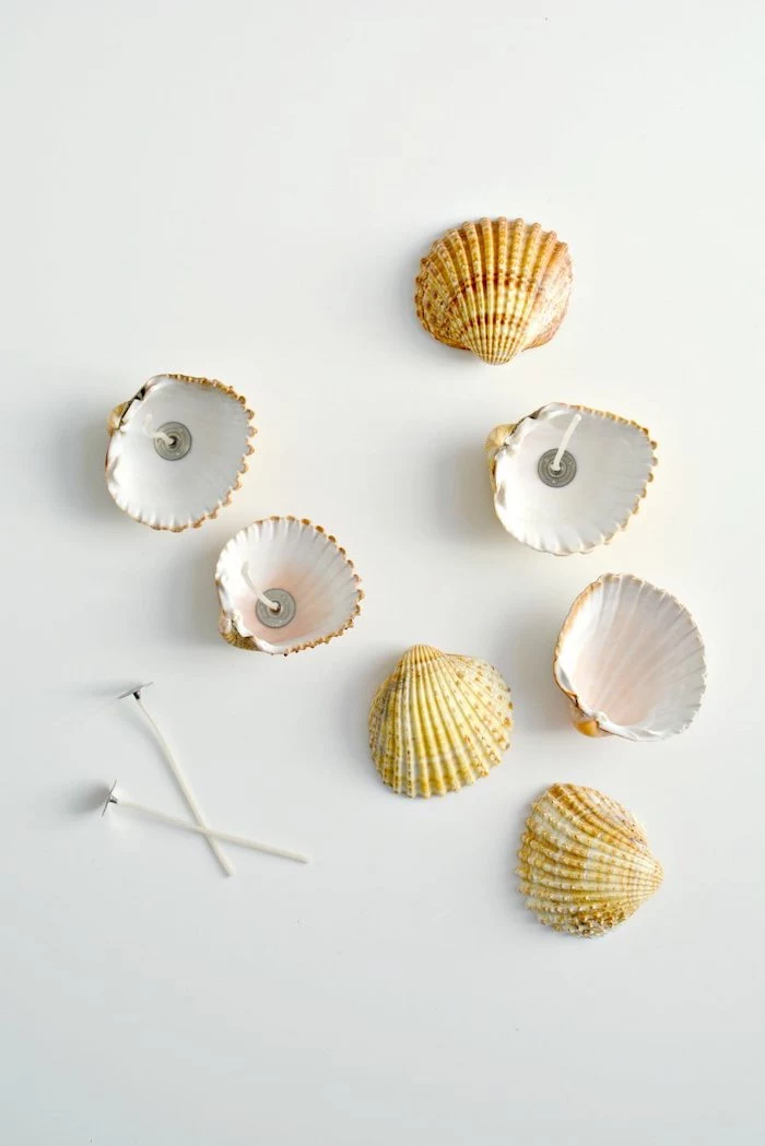 seven seashells, candle wicks inside, cute diys, white background