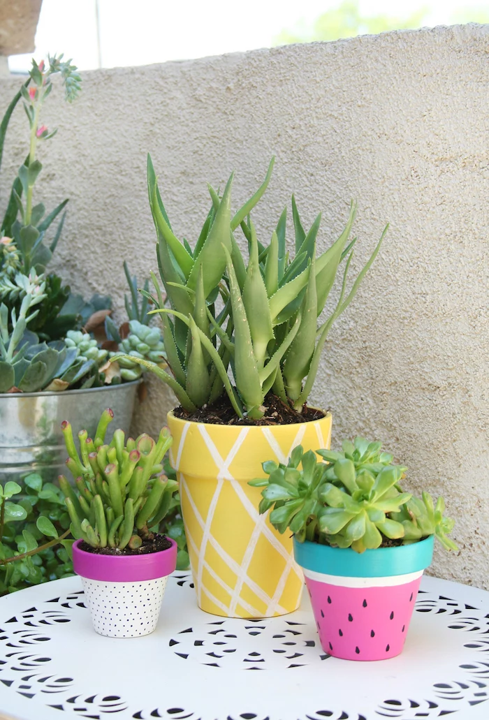 ceramic pots, painted as watermelon and pineapple, diys for kids, aloe vera and succulents