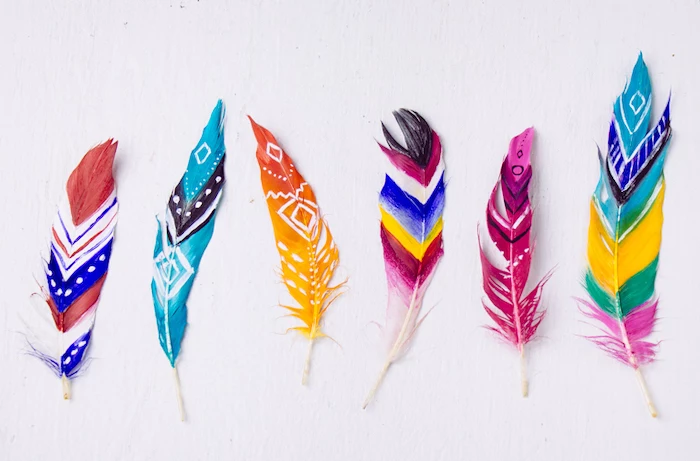 colourful feathers, painted in different colours, arts and crafts for toddlers, white background