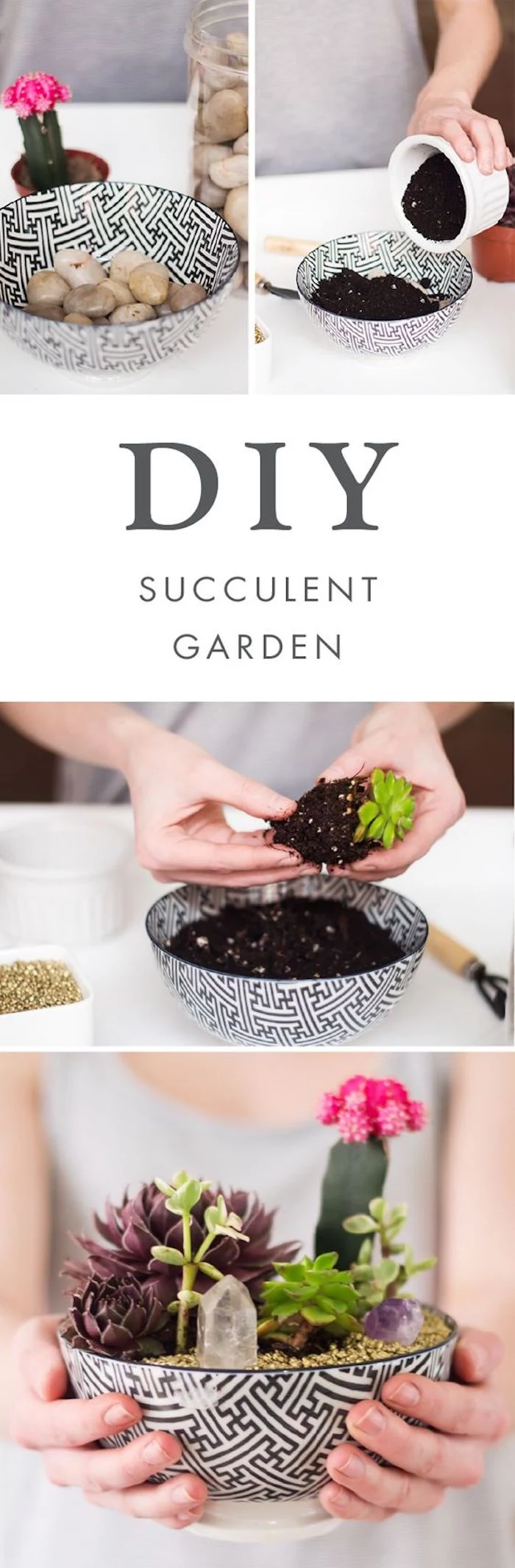 diy succulent garden, cool diy projects, ceramic bowl, filled with rocks and dirt