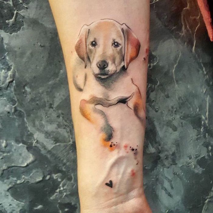 dog portrait, paint splatter tattoo, grey background, watercolour forearm tattoo