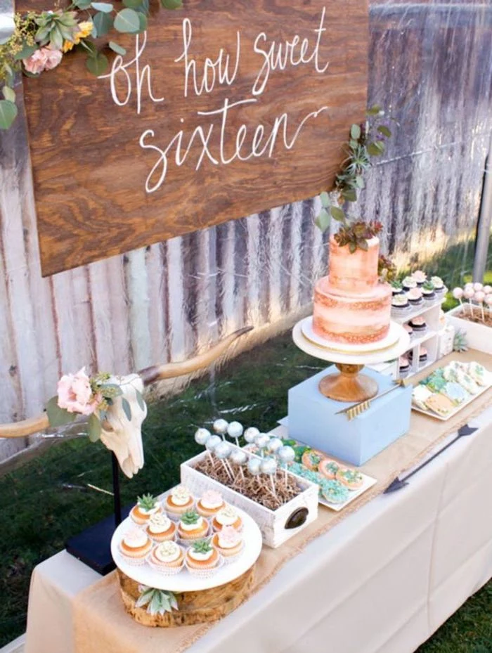oh how sweet sixteen, two tier cake, rustic decor, birthday party ideas for boys, cake pops and cookies