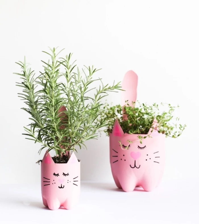 plastic pots, in the shape of cats, diy crafts for teens, potted herbs