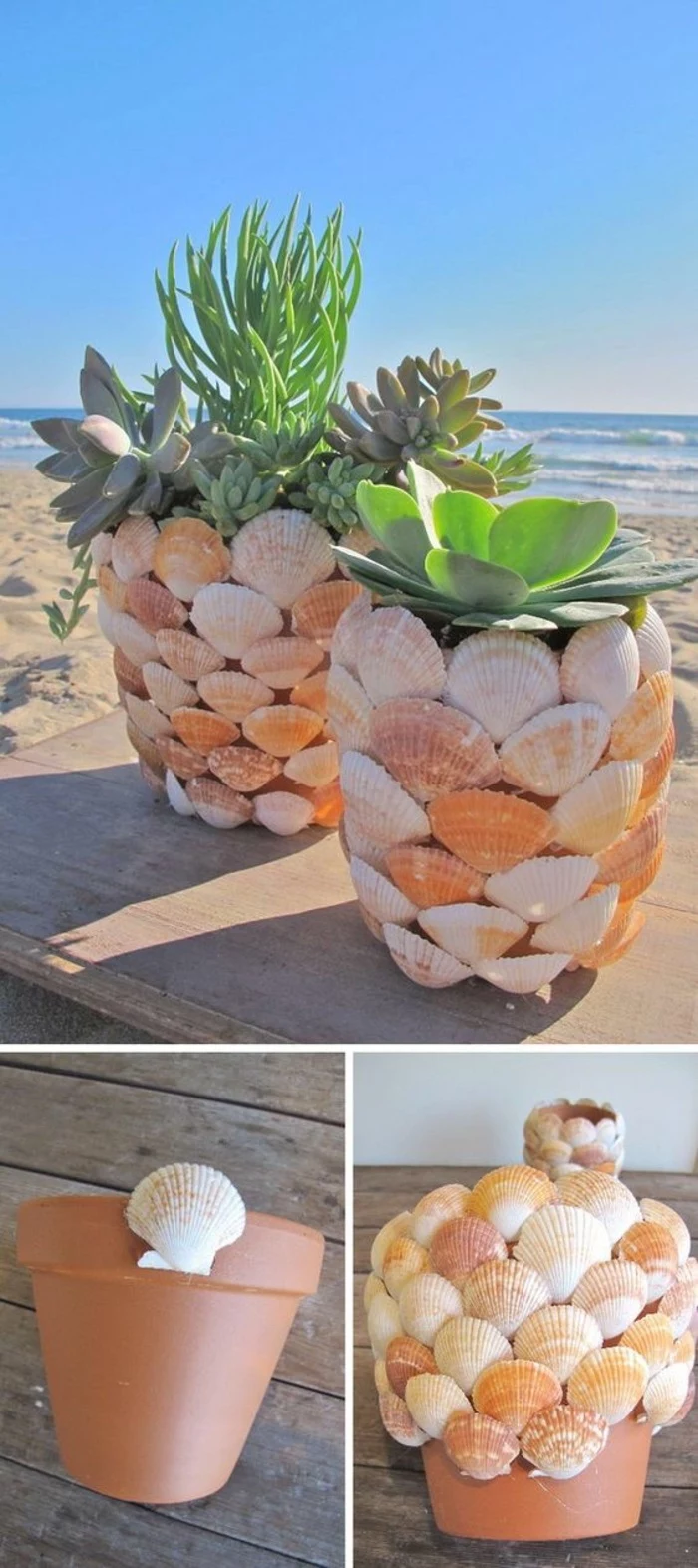 fun easy crafts, ceramic pot, covered in seashells, potted succulents, wooden table