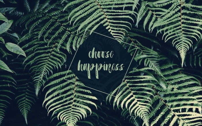 choose happiness, green palm leaves, cute wallpapers 2019, black background