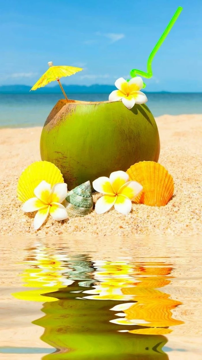 girly wallpapers, coconut, with a cocktail straw, paper umbrella, white flowers, seashells in the sand