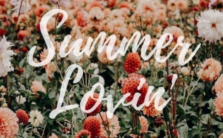 90 cute wallpapers that will make you long for summer