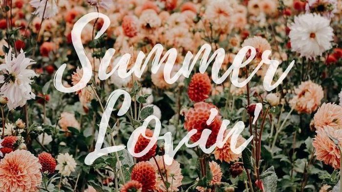 summer lovin, floral wallpaper, cute desktop backgrounds, pink and white flowers