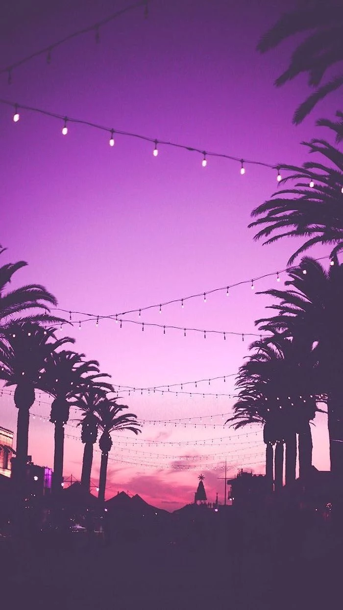 purple sky, sunset sky, cute wallpapers, string lights, tall palm trees