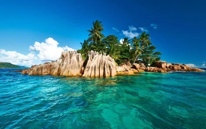 turquoise clear water, palm trees, on rocks, seychelles islands