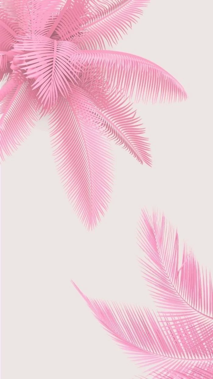 pink palm trees, cute lockscreens, white background