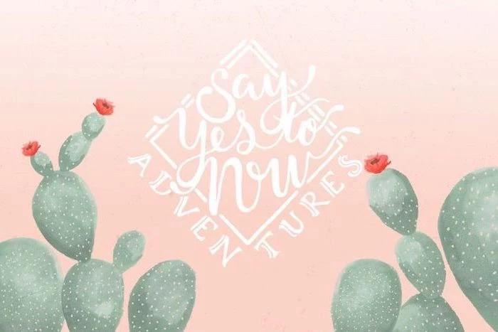 say yes to now, cute wallpapers for lock screen, green cactuses, pink background
