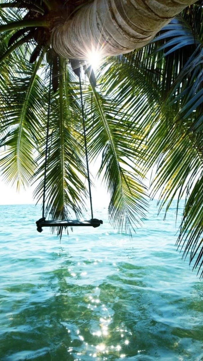 swing on a palm tree, cute lockscreens, pal tree over the ocean water