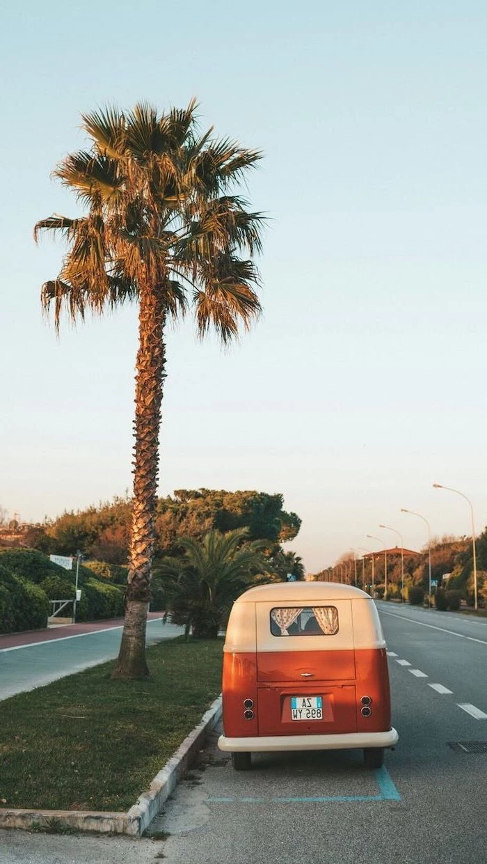tall palm tree, on the side of the road, parked van, cute quote wallpapers