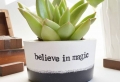 Are you looking for ways to spruce up your cubicle decor – here are 70+ ideas