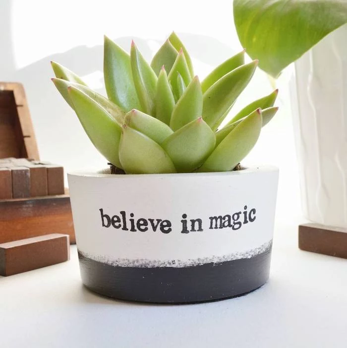 believe in magic, ceramic pot, cubicle decor, potted succulent, on white desk
