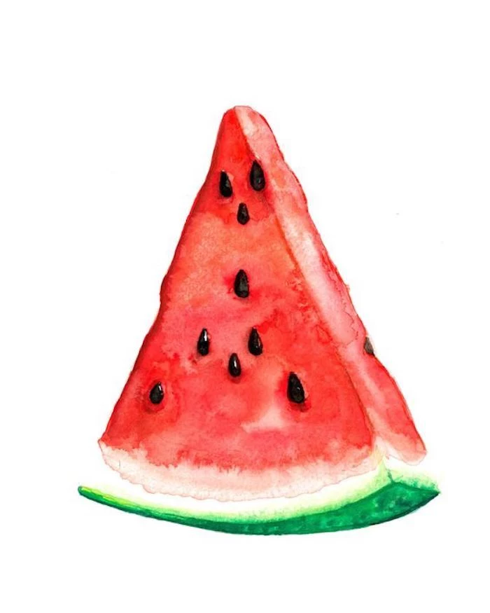 watermelon slice, red and green paint, white background, turn photo into line drawing online free