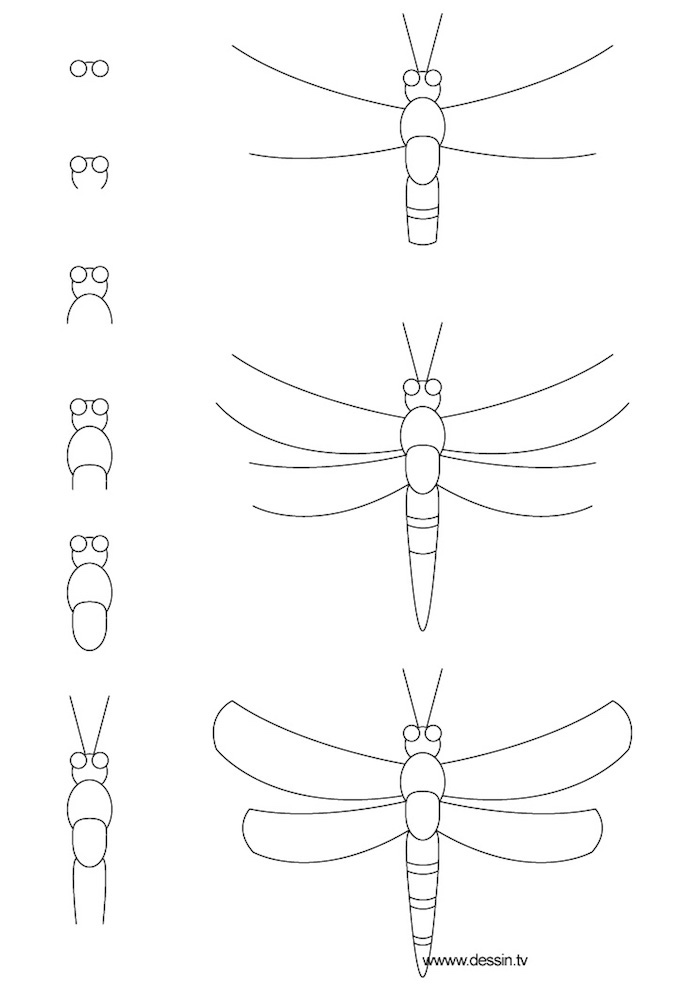 how to draw a dragonfly, black and white sketch, tracing pictures, step by step, diy tutorial