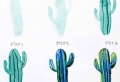 Pictures to trace for beginners and advanced