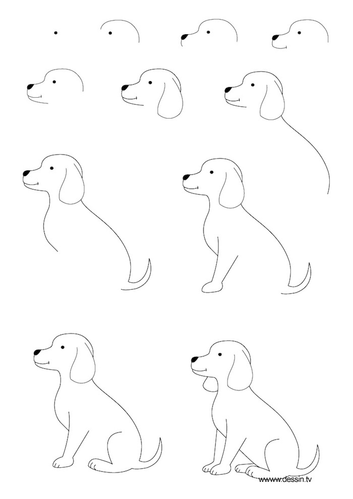 how to draw a dog, tracing pictures, black and white sketch, diy tutorial, step by step