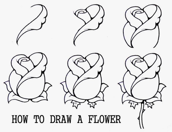 how to draw a flower, drawing images, step by step, diy tutorial, black and white sketch