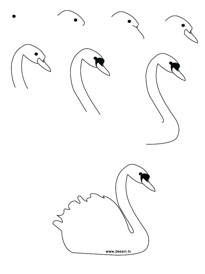 black and white sketch, step by step, diy tutorial, tracing pictures, how to draw a swan