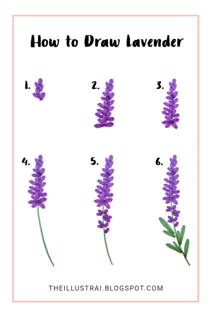 step by step, diy tutorial, images to draw, how to draw lavender, white background