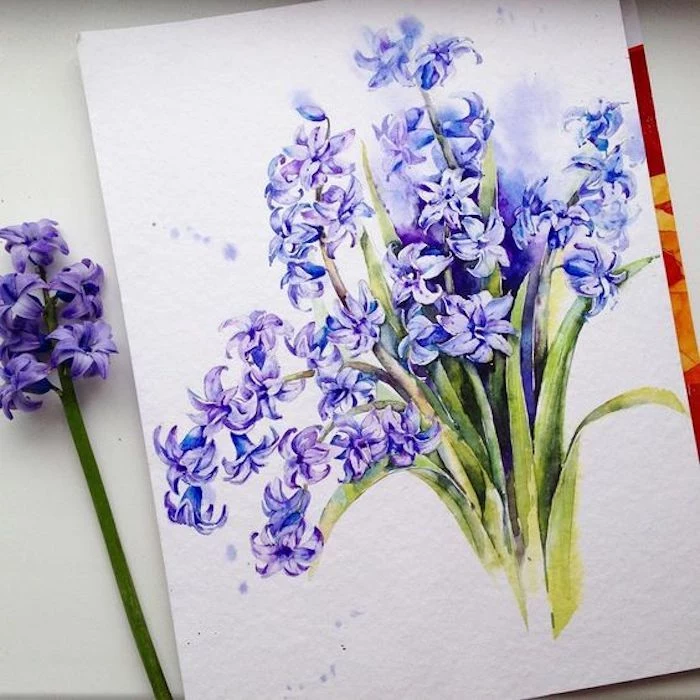 hyacinth flower, shades of purple, shades of green, white background, traceable pictures